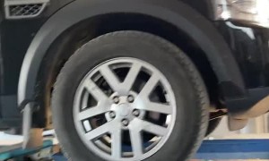 Lazy Kitty Found Napping in Truck Bumper