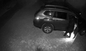 Black Bear Opens Car Doors