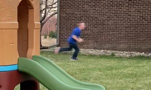 Escaped Rooster Chases a Boy During Birthday Party