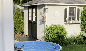 Aussie Puppy Doesn't Need Water to Have Fun