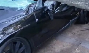 Fancy Car Flattened by Fallen Tree