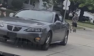 Angry Raccoon Chases Girl Away