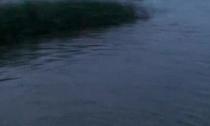 Massive Mayfly Hatch Swarms around Fishermen