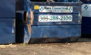 Man Helps Rescue a Racoon Stranded in Dumpster