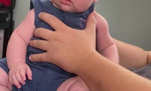 Cheese Slice Helps Baby Stop Crying