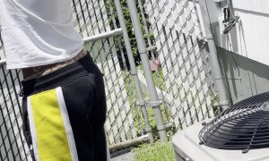 Bird Rescued after Getting Head Stuck In Roof Gutter