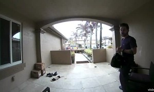 Angry Bird Swoops into Entryway