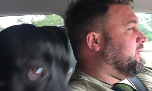 Saki The Talking Dog