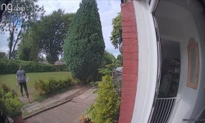 Bouncy Dog Barrels Through Owner for Ball