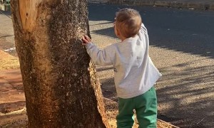 Cute Kid Waves at Garbage Collectors