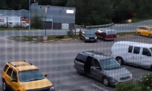 Smart Bear Slides Car Door Open for a Snack