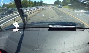 Tree Falls Across Highway Into Unlucky Motorist