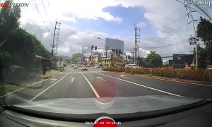 Good Samaritan Stops Traffic to Save Seriously Lucky Kitten
