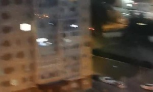 High Climbing Rat Climbs Across Power Line