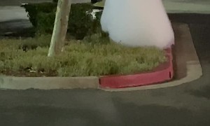 Mysterious Clouds Float Through Parking Lot