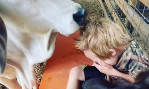 Hair Styled by Friendly Heifer