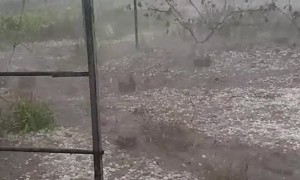Huge Hail Falls From Storm Over Krasnodar