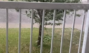 Golf Ball Hail Rains Down in Calgary
