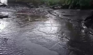 Flash Flood Devastates Home