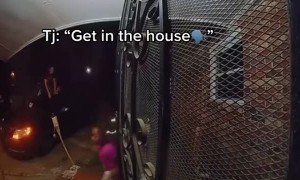 Family Freaks Out After Spotting Snake