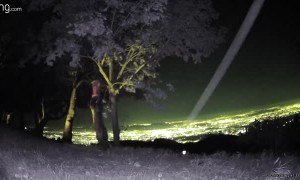 Bear Pulls Down Bird Feeder