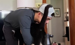 Kitty Loves Hanging Upside Down