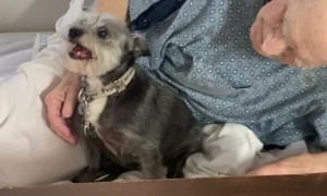 Hospitalized Man Reunited With His Dog