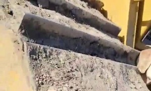 Goat Got Stuck in Bulldozer