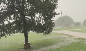 Surprise Lightning Strike Close Call