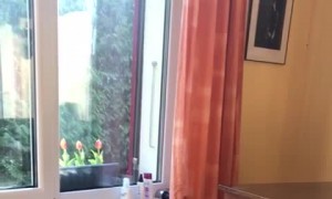 Odd Kitty Waves Her Paws