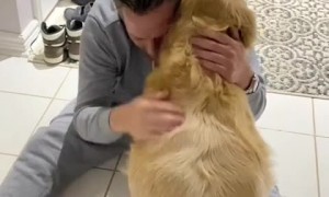 Ecstatic dog emotionally reunited with owner after ten months away