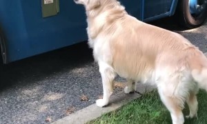 Delicious Ice Cream Cones for Diesel