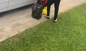 Mouse Delivers Presents from Heaven