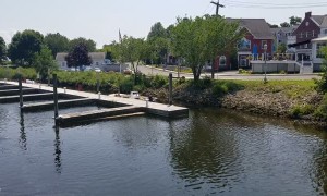 Huge School of Fish Stuck in Shallow Water