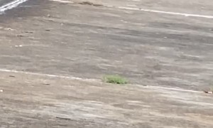 Slippery Surface Turns Fisherman Into Swimmer