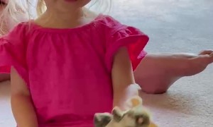 Hungry Toddler Has Terrifying Tone