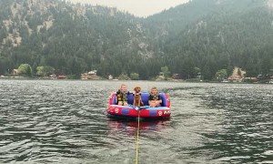 Boat Life Loving Pup
