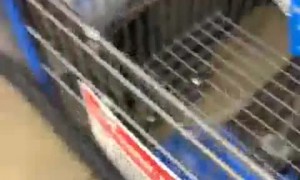 Discriminatory Dispute Over New Walmart Receipt Check Policy