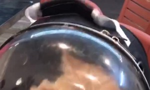 Cat in Carrier Wants to be Out with Owner