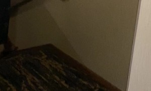 Stairway Mirror Dupes Descending Dude