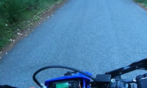 Motorcycle Rider Stops to Help Scared Deer Fawn