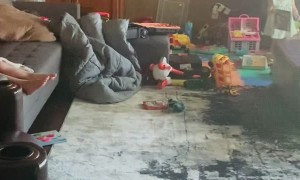 Bath Time is Best Time for Tub-Loving Toddler