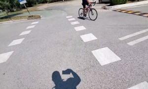 Skateboarding Dog Rides With Owner