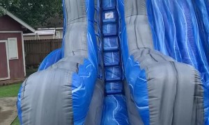 Pup Takes Plunge Down Waterslide