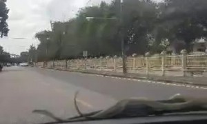 Snake Rides Along on Windshield