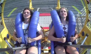 Seagull Joins In on Slingshot Ride