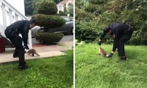Police Officer Rescues Raccoon With Can Stuck On Its Head