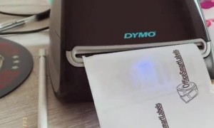 Baby Cheers on Mom's Successful Business