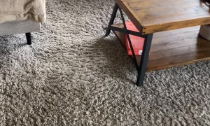 Lazy Dog Lays Back on the Couch