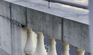 Friendly Seagull Barks on Balcony